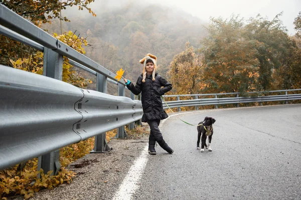 Девушка Гуляла Собакой Дороге Возле Леса Парке — стоковое фото