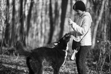 Ormanda köpek gezdiren bir kız.