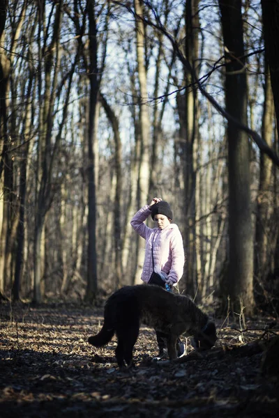 Ragazza Che Cammina Con Cane Nella Foresta — Foto Stock