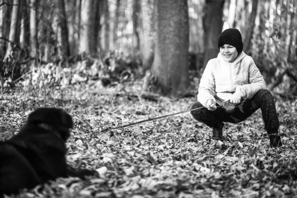 Girl Walking Dog Forest — Stock Photo, Image
