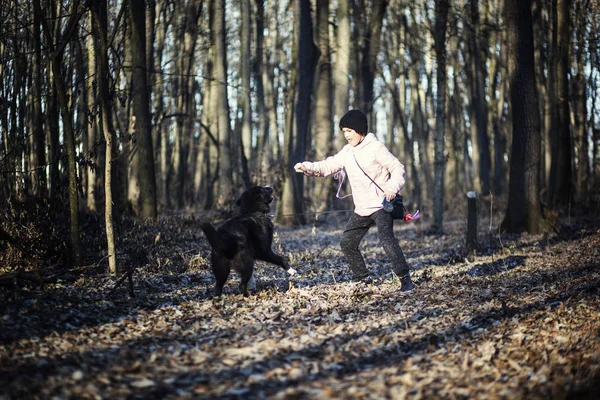 Menina Andando Com Cão Floresta — Fotografia de Stock