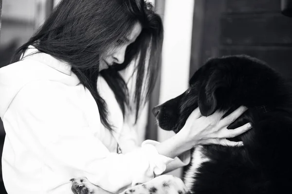 Portrait Beautiful Woman Dog — Stock Photo, Image