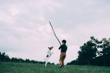 Çocuk köpekle oynuyor.