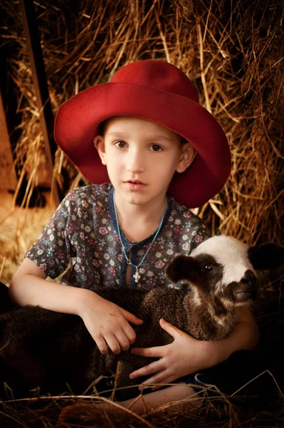 boy holding little sheep