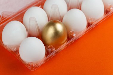 Bir altın yumurta, turuncu bir arka plan ile bir paket içinde beyaz tavuk yumurtası.