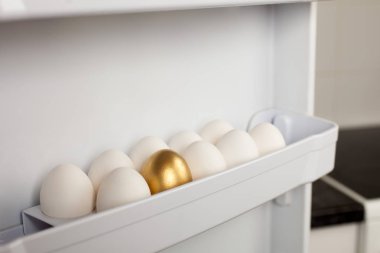 Ambalaj ile bir altın yumurta tavuk yumurta bir buzdolabı raf.