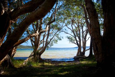 Göl suların çekildiği kıyı - Smiths Lake, Avustralya