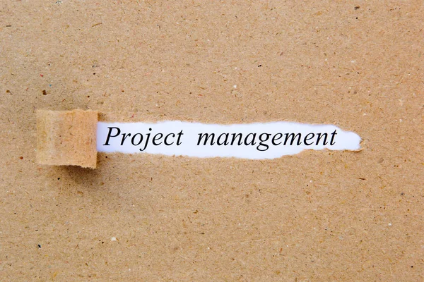 Project Management - printed text underneath torn brown paper