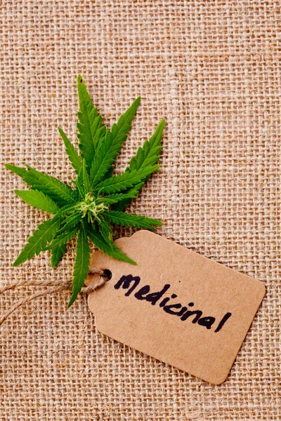 Maconha - Cannabis - Medicinal com aba com fundo hessiano burlap — Fotografia de Stock