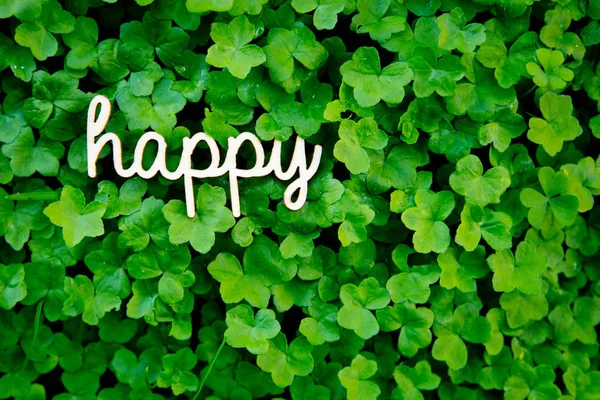 Happy - ξύλινη λέξη σε πράσινο τριφύλλι — Φωτογραφία Αρχείου