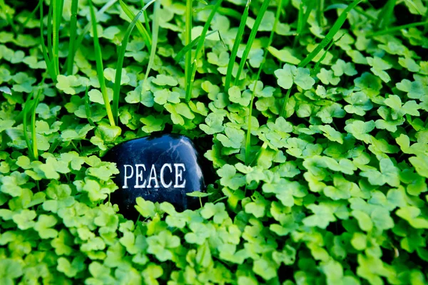 Peace - text on stone in green clover — Stock Photo, Image