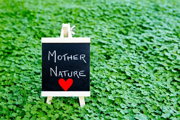 Love Madre Natura - scritto a mano sulla lavagna in trifoglio verde — Foto Stock