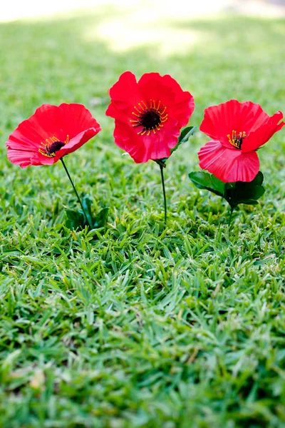 Para que não esqueçamos - Anzac - Lembrança — Fotografia de Stock