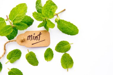 Beyaz arka plan üzerinde etiket ile taze nane