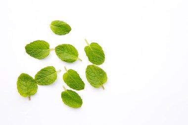 Beyaz arkaplanda taze nane yaprakları