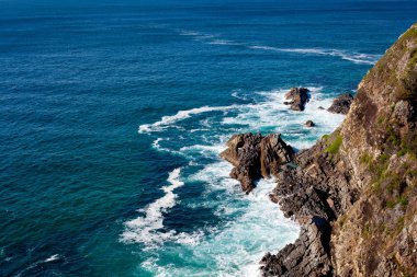 Cliff kıyı şeridi, Forster, yeni Güney Galler, Avustralya