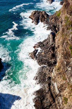 Cliff kıyı şeridi, Forster, yeni Güney Galler, Avustralya