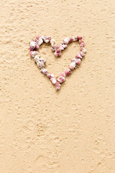 Hart vorm in roze zeeschelpen op het strand — Stockfoto
