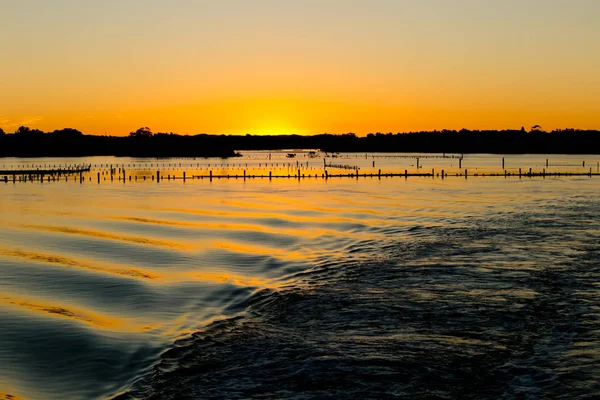 Oyster Farm Beds silhouetted at sunset — Stock Photo, Image