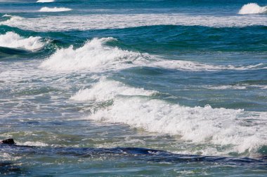 Spashing üzerinde kayalık plaj dalgalar