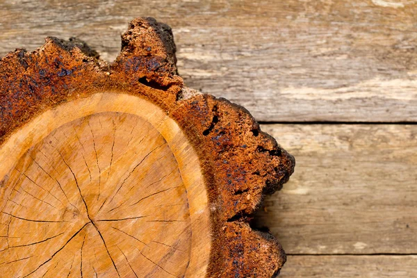 Taze kesilmiş parke kesiti büyüme satırlarını gösteren ağacının 
