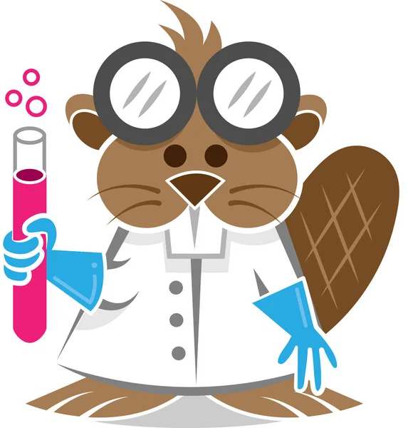 Beaver Scientist Character — Stock Vector