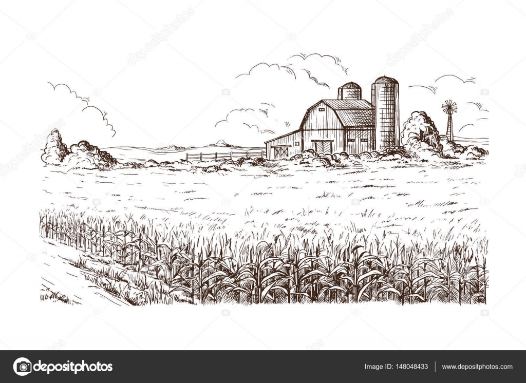 Single continuous line drawing of whole healthy organic wheat grain for  farm logo identity. Fresh staple food concept for breakfast cereal icon.  Modern one line graphic draw design vector illustration 20380841 Vector