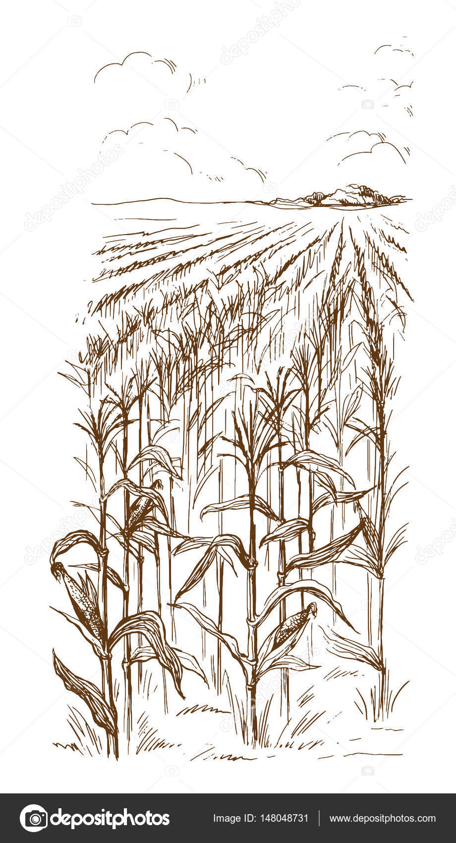 Hand Drawn Black And White Illustration Of Farm And Field And Cow. Sketch.  Vector Eps 8. Royalty Free SVG, Cliparts, Vectors, and Stock Illustration.  Image 156390519.