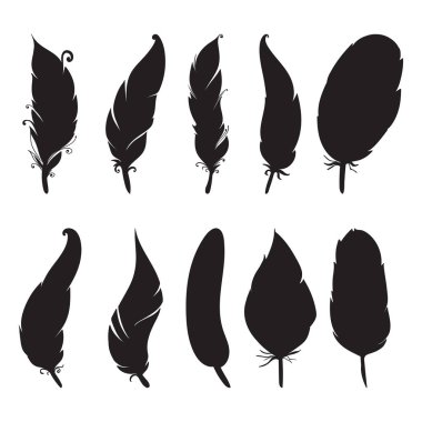 Elle çizilmiş tüy toplama.