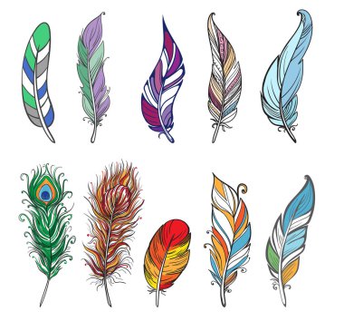 Renkli ayrıntılı kuş tüyleri
