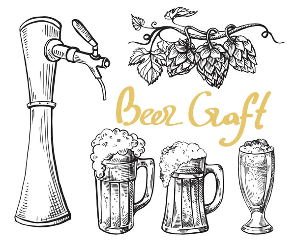 Beer tower hops mug and glass — Stock Vector