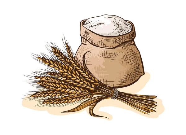 Акварель з цільнозерновим борошном і вушною пшеницею . — стоковий вектор