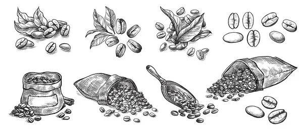 Conjunto de granos de café en bolsa — Vector de stock
