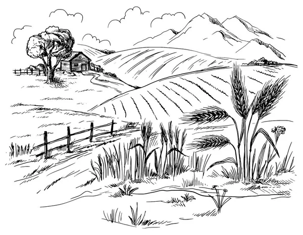 Lanskap pedesaan dalam gaya grafis - Stok Vektor