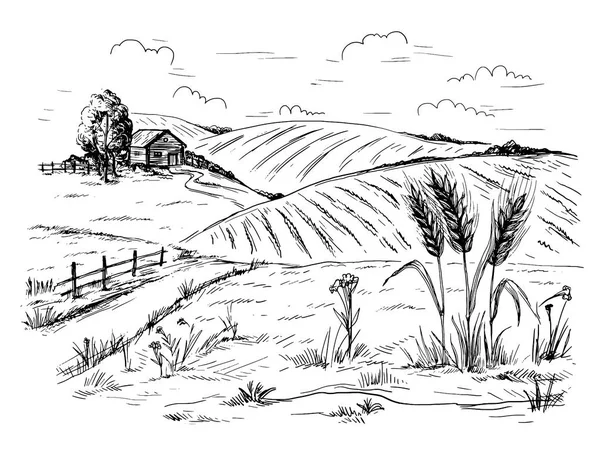 Paisaje rural en estilo gráfico — Archivo Imágenes Vectoriales