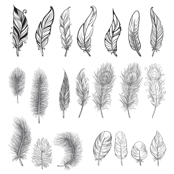 Collection of hand drawn feather. — Stock Vector