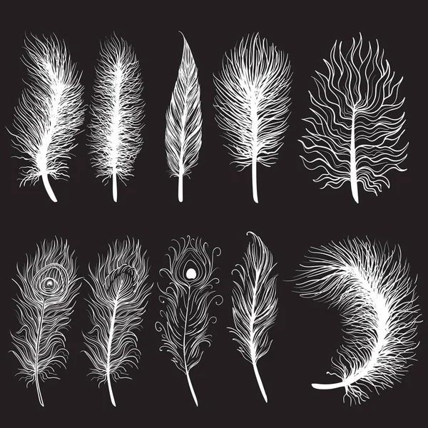 Collection of hand drawn feather.