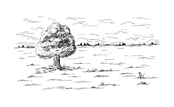 분야의 한가운데에 서 있는 외로운 나무 — 스톡 벡터