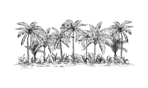Vista panorámica del bosque desde palmeras — Vector de stock