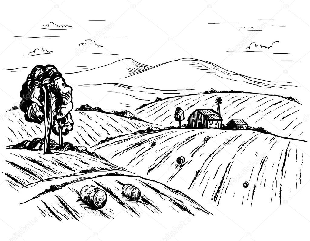 Rural landscape in graphical style