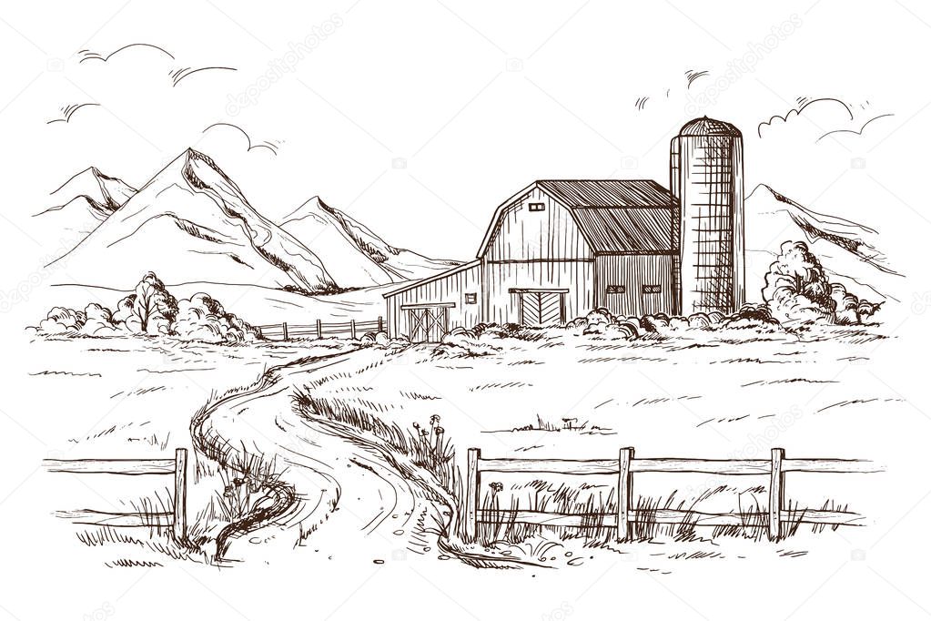 illustration of cornfield grain stalk sketch