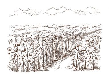 kroki ve doğa vektör el çekilmiş köy evleri