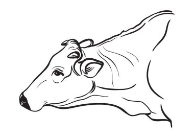 ineklerin elle çizilmiş Eskizler