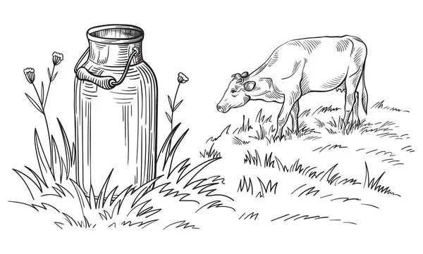 Latas de leite com grama país — Vetor de Stock