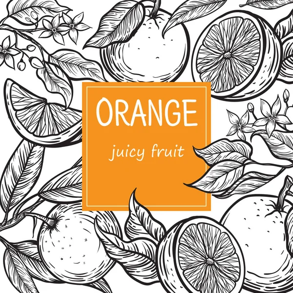 テンプレートは、柑橘系の果物で描かれたデザインを手します。 — ストックベクタ