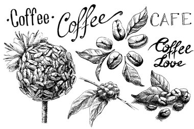 kahve çekirdekleri ve yaprakları Kupası