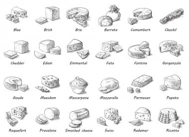 Graphic sketch of different cheeses. clipart