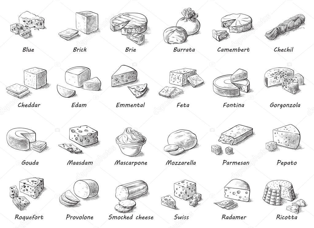 Graphic sketch of different cheeses.