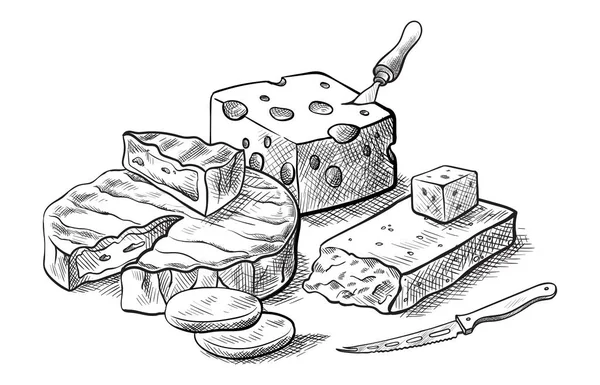 Olika typer av ost uppsättning vektor skisser för osttillverkning — Stock vektor