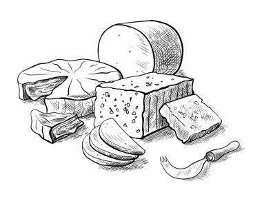 peynir peynir set vektör çizimler ve türleri